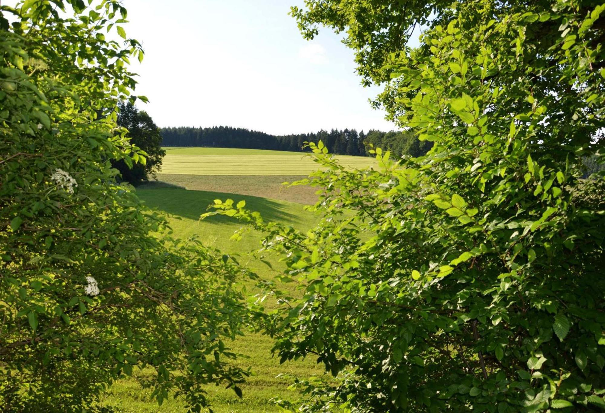 Das Ferienhaus Mondschein Im Land Der Tausend Berge - Erholung Pur In Idyllischer Alleinlage Lennestadt Zewnętrze zdjęcie